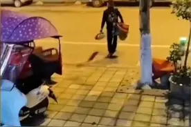 钓鱼，中年男人的多巴胺图片