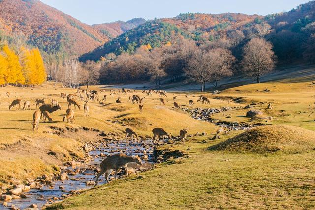 从湖南去了一趟伊春，实话实说，回来才发现朋友圈都是骗人的？