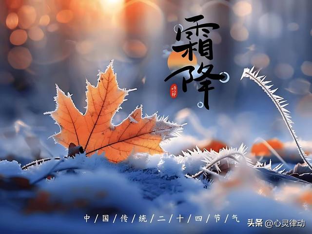 今日霜降，“不怕霜降淋，就怕霜降晴”，为啥怕晴天？有啥说法？