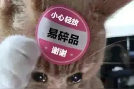 出国留学：普通家庭 vs 精英家庭 让人扎心的直观对比图片