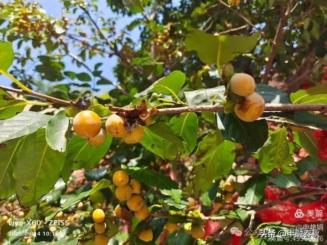登秦皇岛抚宁天马山｜申艳娟