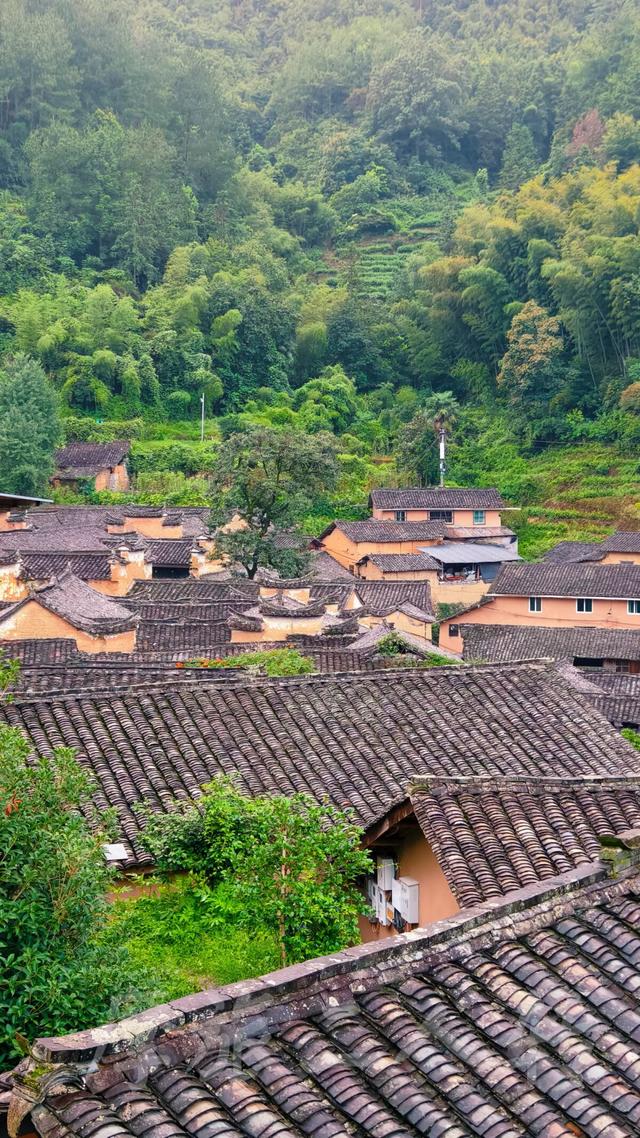 皖浙摩旅二人转——松阳杨家堂篇（下）