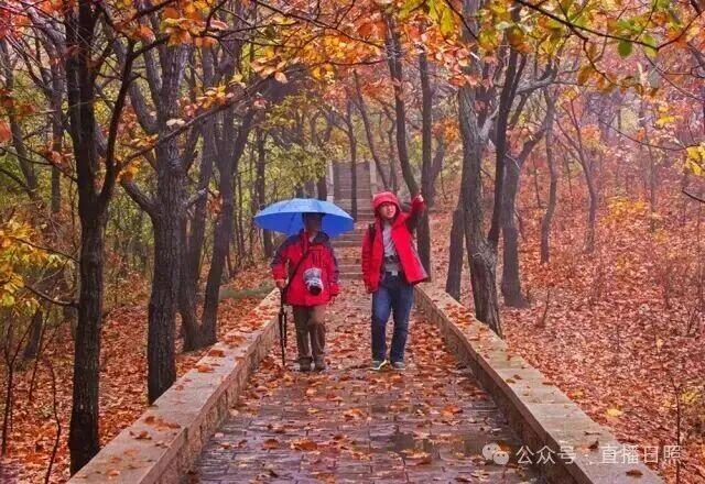 山东的阿勒泰私藏在日照！秋风一吹，如此绚烂！