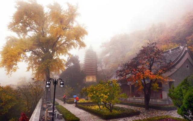 盘山 “红” 了！