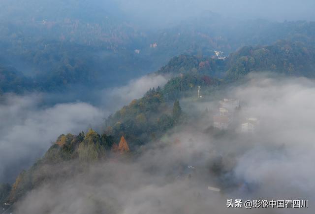 四川雅安：碧峰峡风光旖旎引客来