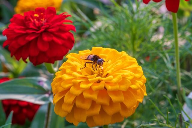 为什么十个亲家，九家关系处得都一般，原因就是一个，理念不一样