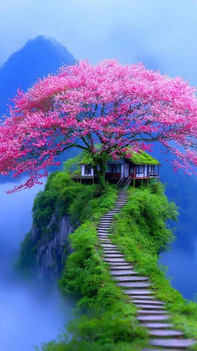 风景壁纸｜挽手山水，静养身心～