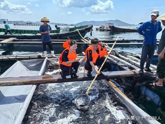 李在明结束访华，启程返韩前，向中方提了一个建议：希望平分黄海