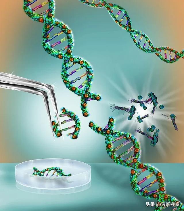 对比迪迦人类中的黑科技，现代人类的科技是赶上了，还是弱爆了？