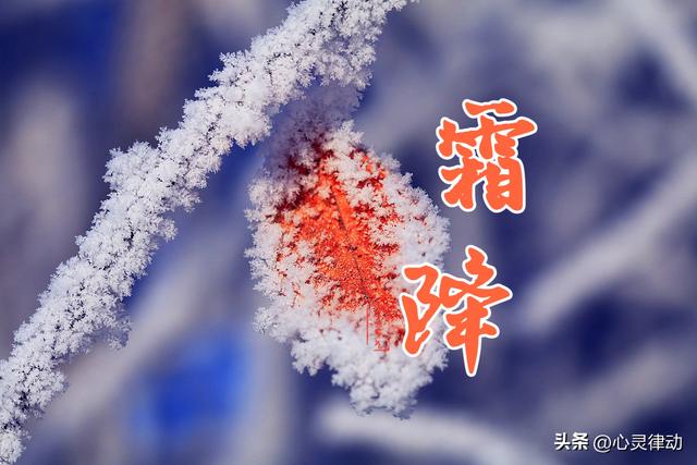 明日霜降！今年霜降不一般，60年一遇，有三大特点，早看早做准备