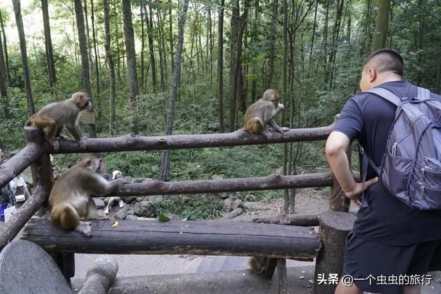 错峰出行！淡季的十里画廊人少景美，每一步都是治愈系大片！