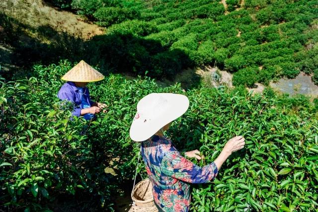 山海避暑“专列”启程！这里藏着夏天最舒服的打开方式→