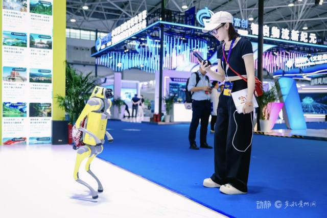 2025数博会上尽览“人工智能+”发展