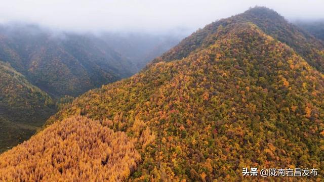 深秋官鹅沟：藏在西北的彩墨长卷