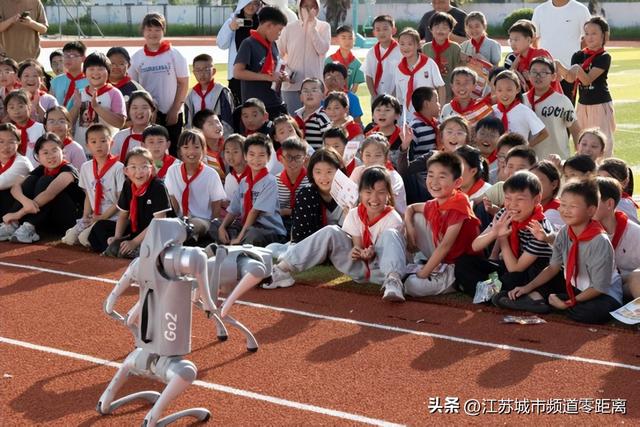 人工智能播种“姜”来梦想 消保“堰”阳守护乡野微光