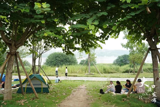 重阳去哪玩?收好大渡口份赏秋打卡好去处