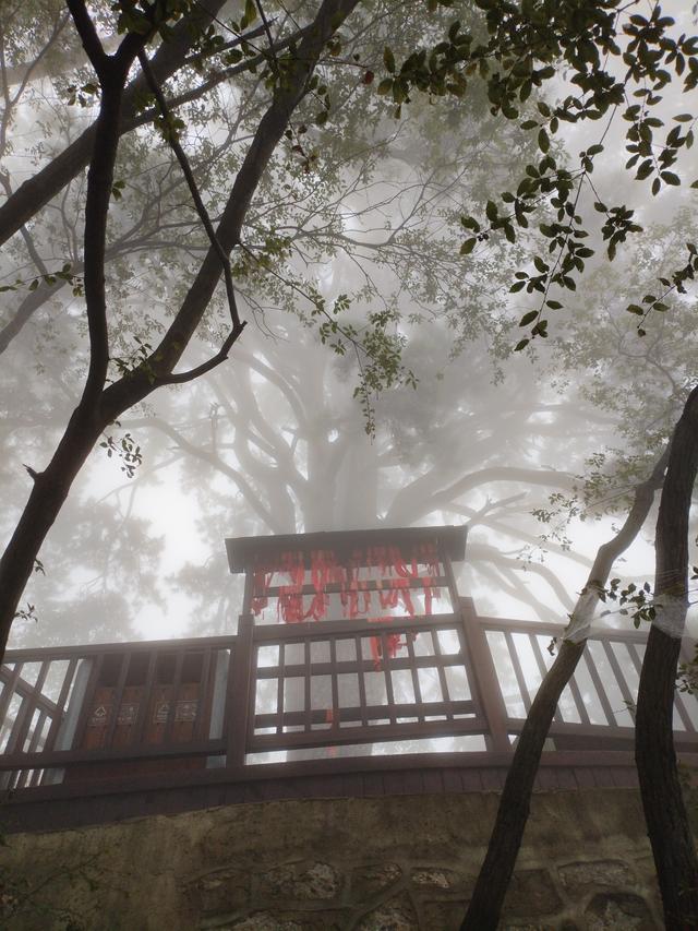 终南山.南五台—不负遇见