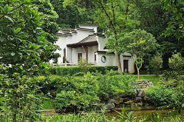 深圳最容易被忽略的高颜值公园,丛林秘境随处都是风景大片