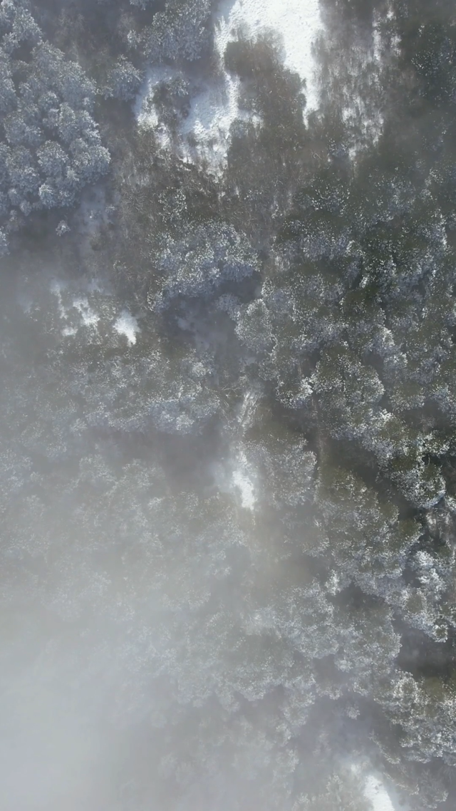 大寒雪落，我们陪你“慢下来”