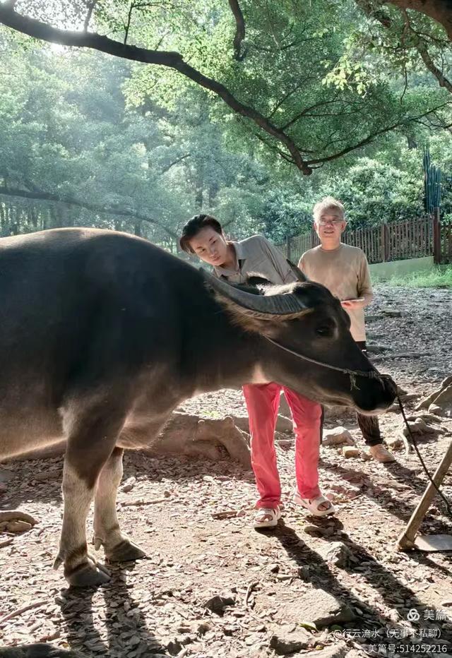 彩色旅图｜光影里的霞浦：滩涂、古树与渔排的诗意时光