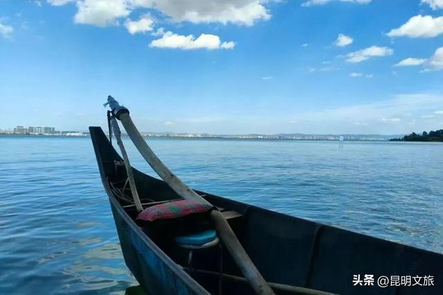 2025最新观鸥地图：这些地方“鸥”气值MAX，拍照直接封神！