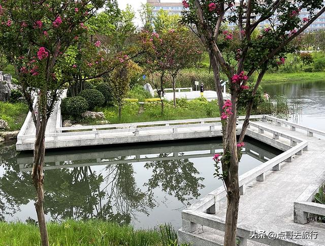 成都最近紫薇花公园，被严重低估，花开惊艳，地铁公交车直达！