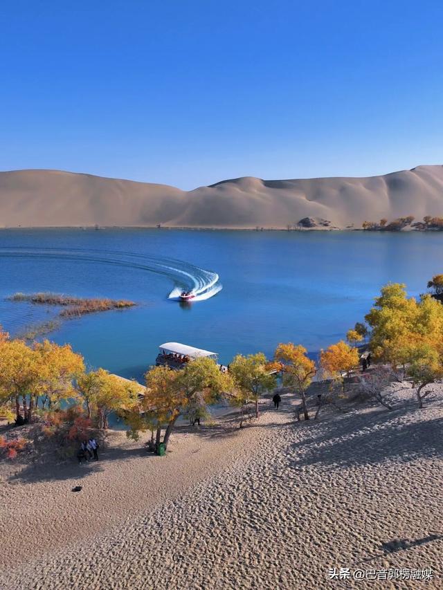 胡杨林的黄金时间来了，到巴州不只塔里木胡杨林公园，这些胡杨林，个个惊艳