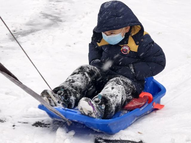 雪落莲城，许你一场纯净的冬日浪漫