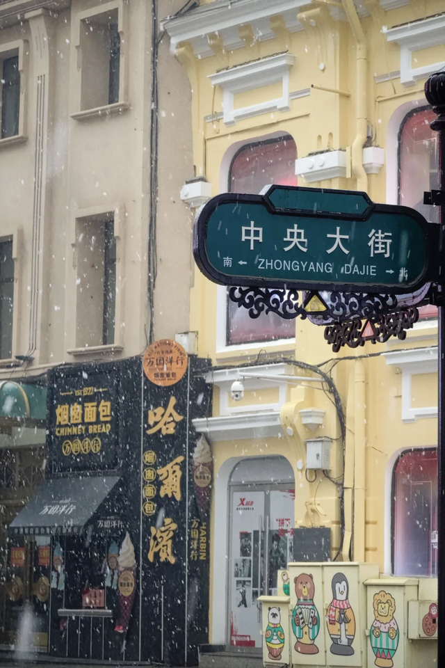 哥儿几个亮IP！大东北欢迎您！