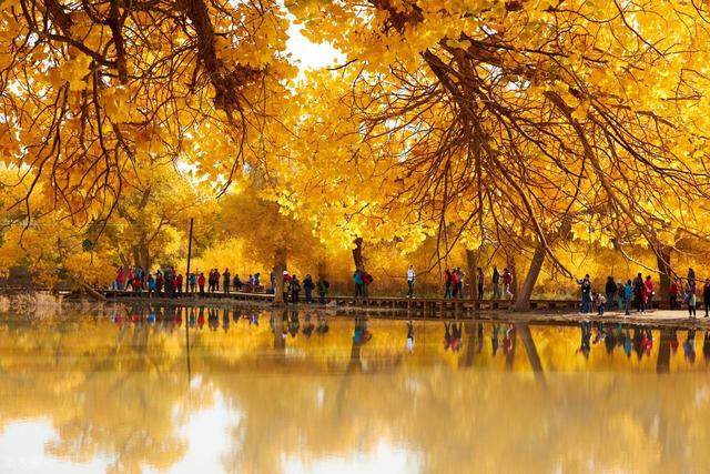 9月-10月的盛大秋景，这8个地方，有登峰造极的秋色盛宴