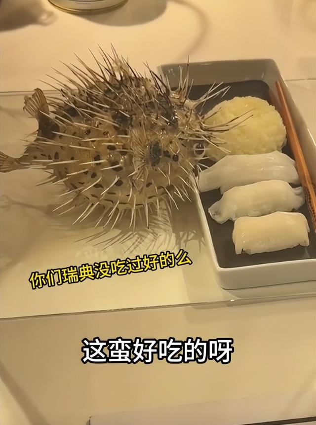 博主在瑞典逛 恶心食物博物馆，燕窝 猪脑就忍了，看到皮蛋绷不住了