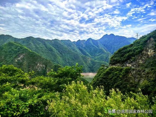 夏季避暑有“凉”方,黑河山水邀你共赴清凉盛宴!