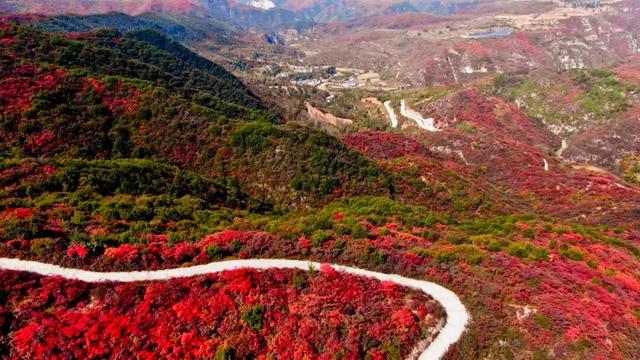 晋城的初冬，是最好的拍照滤镜