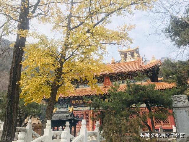 北京周末寻幽秘境！白瀑寺秋日静心之旅！