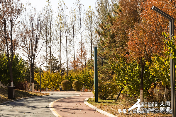 黄花公园秋意深 游客笑语映秋云