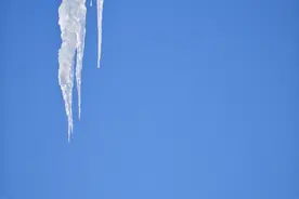 2024年2月月报：重回3000点图片