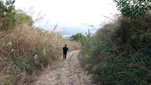 梅城西郊发现俯瞰梅城的最佳景点，一眼可见皇家名典金沙湾千佛塔