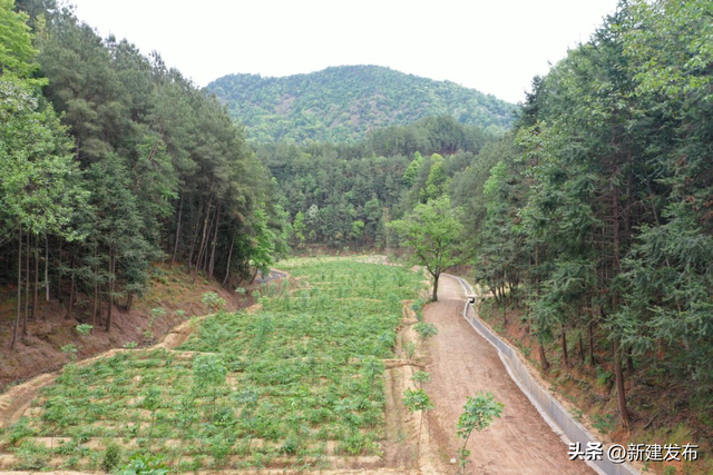 长寿铜鼓 康养胜地