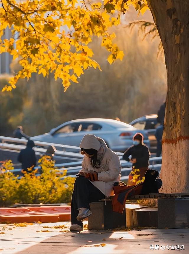 别再抱怨生活平淡！你家那点柴米油盐，藏着千万流量的"情绪炸弹"
