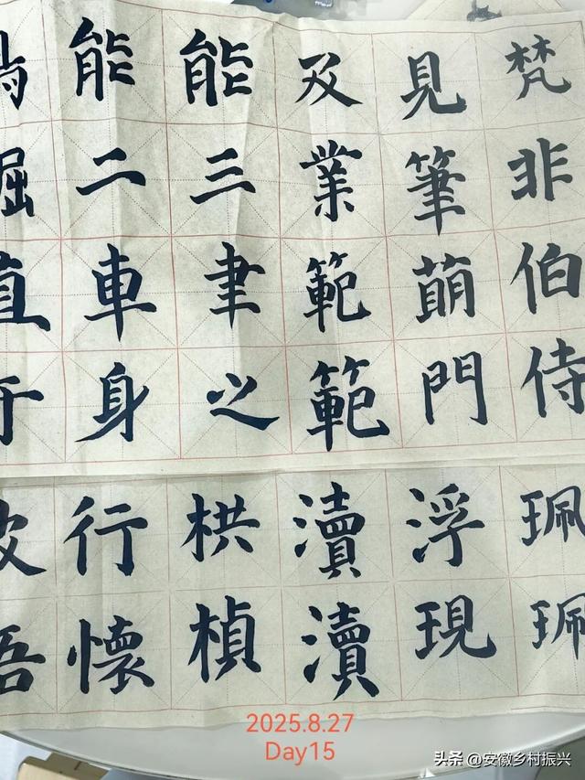 8月，「渴望自由，像治不好的病」