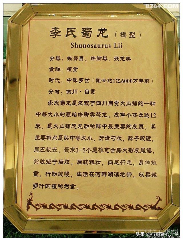 山东行游影记（26）—平邑天宇自然博物馆（一）