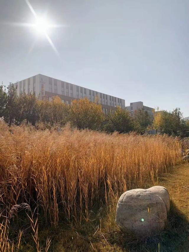 去公园，寻找城市的“书签”