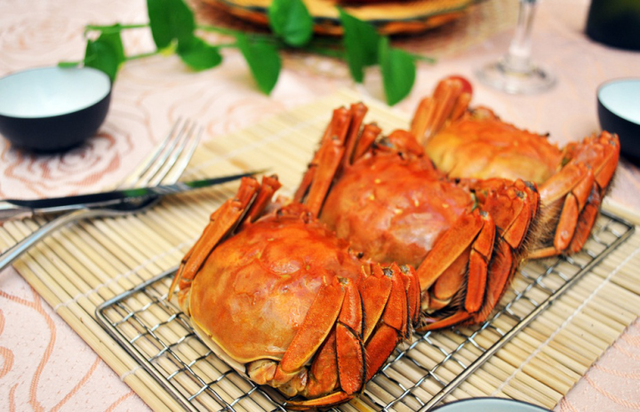 自驾骑行首选！太湖9号公路，沿湖而行的秋季治愈之旅