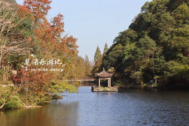 宁波这个丛林秘湖又火了，银杏与红枫美成油画，很适合拍照与休闲