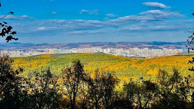 藏不住了！延吉的秋天美成这样，邀你共赏斑斓盛景