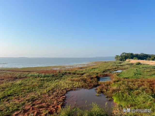 吴城狮子山观鸟