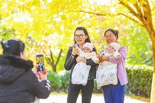 杉色醉人！青岛世博园水杉林迎来最佳观赏期