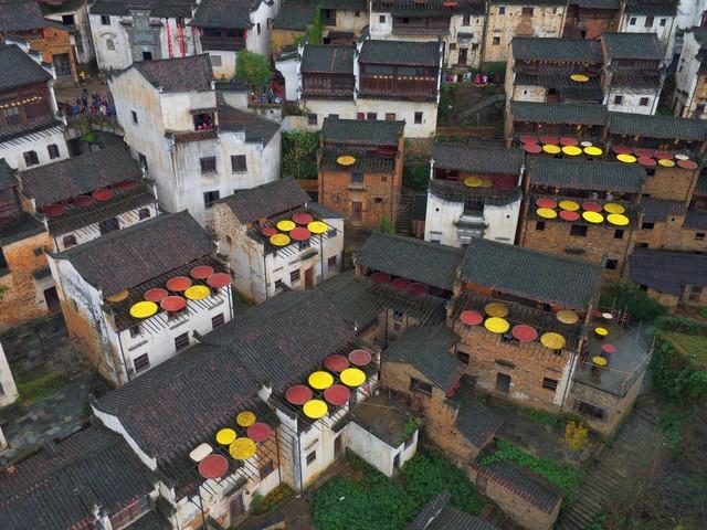 这6类项目在农村正成香馍馍？返乡创业摸准门路，年入百万不是梦