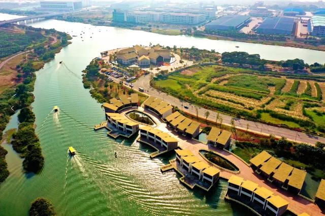 岭南水乡的双生花:东莞沙田与南沙东涌的时空对话