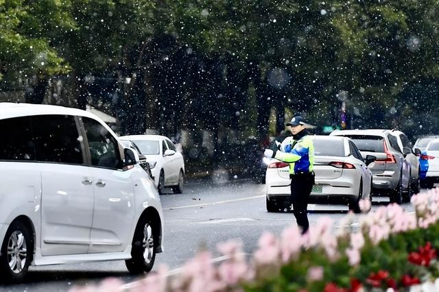 难得一见！杭州西湖今日迎来2026年第一场雪，断桥游人打卡忙